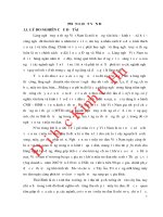 Thực trạng sản xuất và tiêu thụ mây tre đan tại xã thượng hiền, huyện kiến xương, tỉnh thái bình 