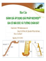 Báo Cáo ĐÁNH GIÁ ÁP DỤNG GIẢI PHÁP NEOWEBTM GIA CỐ MÁI DỐC VÀ TƯỜNG CHẮN ĐẤT