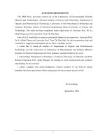 Tổng hợp và đặc trưng xúc tác tẩm chất lỏng ion (SILP) imidazol chứa phức rodi mang trên các chất mang rắn cho phản ứng hydroformyl hóa etylen