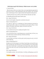 Giải bài tập trang 82 SGK Sinh lớp 6: Phần lớn nước vào cây đi đâu