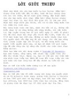 Guitar dem hat   LV acoustic 2015