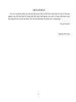 Một số mô hình kênh không gian và tác động của tương quan không gian trong hệ thống MIMOOFDMA