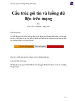 Cấu trúc gói tin và luồng dữ liệu trên mạng 