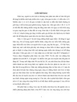 Khóa luận Quy trình chẩn đoán viêm gan C bằng kỹ thuật PCR Elisa và Real Time PCR