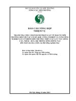 Thanh tra việc chấp hành pháp luật về bảo vệ môi trường đối với các cơ sở, khu công nghiệp và cụm công nghiệp gây ô nhiễm môi trường trên (2)
