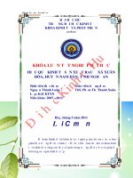 Hiệu quả kinh tế sản xuất rau ở xã xuân hòa – huyện nam đàn – tỉnh nghệ an 