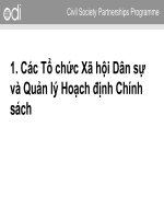 Các Tổ chức Xã hội Dân sự và Quản lý Hoạch định Chính sách