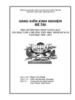 trang bia skkn 2010 2011