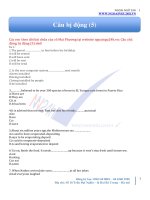 câu bị động (5) 