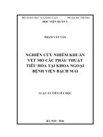 Nghiên cứu nhiễm khuẩn vết mổ các phẫu thuật tiêu hóa tại khoa Ngoại bệnh viện Bạch Mai (FULL TEXT)