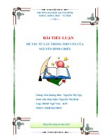 Bài tiểu luận từ láy trong thơ văn của nguyễn đình chiểu 