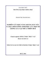 Nghiên cứu khả năng kháng rầy nâu và đặc điểm nông sinh học của một số giống lúa tại thừa thiên huế (TT)