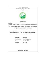 Biện pháp phát triển sản xuất và mở rộng thị trường các sản phẩm từ quả táo mèo tại địa bàn xã lao chải – huyện mù cang chải – tỉnh yên bái 