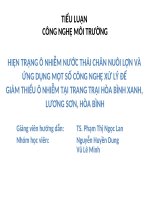 Tiểu luận công nghệ môi trường hiện trạng ô nhiễm nước thải chăn nuôi lợn và ứng dụng một số công nghệ xử lý để giảm thiểu ô nhiễm tại trang trại hòa bình xanh   lương sơn   hòa bình