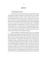 LUẬN văn THẠC sĩ   điểm NÓNG CHÍNH TRỊ ở NÔNG THÔN ĐỒNG BẰNG SÔNG HỒNG   đặc điểm NGUYÊN NHÂN và bài học KINH NGHIỆM