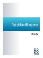 strategic brand management