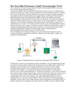 Phương pháp phân tích sắc ký lỏng hiệu năng cao  HPLC