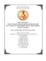 THỰC TRẠNG HOẠT ĐỘNG KINH DOANH CỦA CÔNG TY BẢO HIỂM NHÂN THỌ TRONG NĂM VỪA QUA