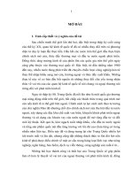 LUẬN án TIẾN sĩ KINH tế   VAI TRÒ của NGOẠI THƯƠNG đối với sự PHÁT TRIỂN của TRUNG QUỐC từ KHI cải CÁCH và mở cửa