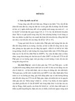 LUẬN án TIẾN sĩ   GIA ĐÌNH PHẬT tử và vấn đề đoàn kết tập hợp THANH THIẾU NIÊN TRONG các GIA ĐÌNH PHẬT tử nước nước TA (QUA KHẢO sát một số TỈNH MIỀN TRUNG)