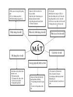 CHỦ ĐỀ BẢN THÂN BÉ  TRẺ MẦM NON