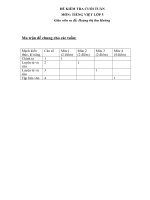 DE TUAN LOP 5-MON TIENG VIET