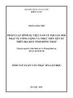 Pháp luật hình sự Việt Nam về tội gây rối trật tự công cộng và thực tiễn xét xử trên địa bàn tỉnh Đồng Tháp