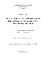 Thách thức do cắt giảm thuế quan khi Việt Nam tham gia tổ chức thương mại thế giới