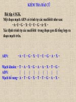 Bài giảng điện tử sinh học 9 bài 18 protein (5) 