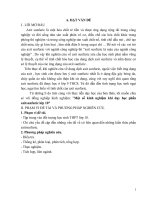 SKKN sáng kiến kinh ngiệm một số sáng kiến khi dạy học phần axitsunfuric lớp 10 