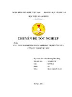 Giải pháp marketing nhằm mở rộng thị trường của công ty TNHH Việt Đức