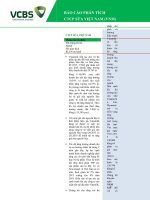 BÁO cáo PHÂN TÍCH CTCP sữa VIỆT NAMVNM