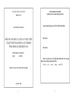 Một số vấn đề lý luận và thực tiễn về kết hôn trái pháp luật trong tình hình xã hội hiện nay