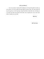 Giải pháp nâng cao chất lượng phương thức thanh toán Tín dụng chứng từ tại Ngân hàng TMCP Việt Nam Thịnh Vượng–VPBank