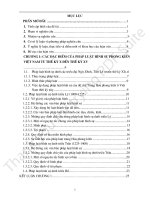 Pháp luật hình sự phong kiến Việt Nam những đặc điểm cơ bản và vấn đề lĩnh hội một số giá trị pháp luật truyền thống