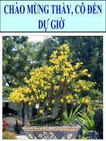 Bài giảng điện tử sinh học 9 bài 18 protein (2) 