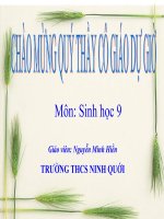 Bài giảng điện tử sinh học 9 bài 18 protein (3) 