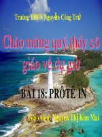 Bài giảng điện tử sinh học 9 bài 18 protein (1) 