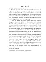Nâng cao hiệu quả huy động vốn từ các doanh nghiệp tại Ngân hàng thương mại cổ phần Quốc tế Việt Nam - Chi nhánh Đắk Lắk