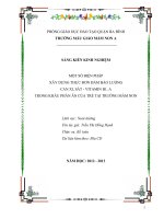 SKN 13 ; một số BIỆN PHÁP xây DỰNG THỰC đơn đảm bảo LƯỢNG CAN XI, sắt   VITAMIN b1, a TRONG KHẨU PHẦN ăn của TRẺ tại TRƯỜNG mầm NON 