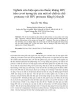 Nghiên cứu hiệu quả của thuốc kháng HIV trên cơ sở tương tác của một số chất ức chế protease với HIV protease bằng lý thuyết