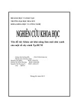 Khảo sát khả năng làm mái nhà xanh của một số cây cảnh Tp.HCM