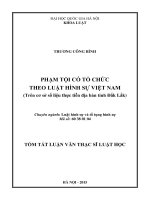 Phạm tội có tổ chức theo luật hình sự Việt Nam