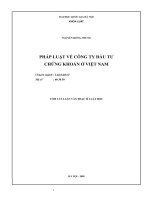 Pháp luật về công ty đầu tư chứng khoán ở Việt Nam