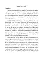 Nghiên cứu điều kiện thúc đẩy xuất khẩu của Công ty cổ phần Thực phẩm Hữu Nghị