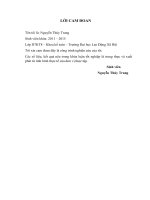 Kế toán tiêu thụ hàng hóa và xác định kết quả tiêu thụ tại Công ty chế biến thực phẩm và thương mại Hải Vân