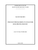 Tính toán phổ dao động của D-Glucose bằng phương pháp DFT