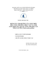 Khảo sát ảnh hưởng của ánh sáng đơn sắc và chất điều hòa tăng trưởng thực vật lên sự tăng trưởng Thài lài tím (tradescantia pallida)