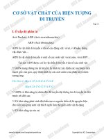 CƠ sở vật CHẤT của HIỆN TƯỢNG DI TRUYỀN