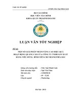 Một số giải pháp nhằm nâng cao hiệu quả hoạt động quảng cáo của công ty TNHH sản xuất Hàng tiêu dùng  Bình Tiên-chi nhánh phía Bắc